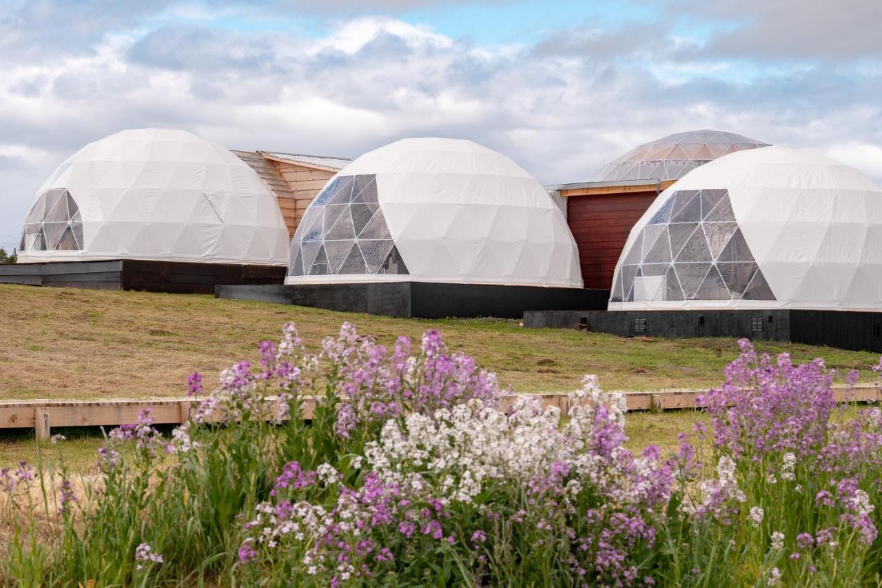 הוילה פורטו נטאלס Garden Domes מראה חיצוני תמונה