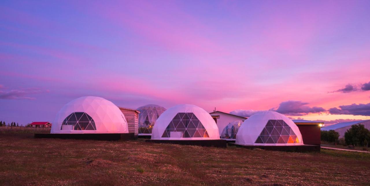 הוילה פורטו נטאלס Garden Domes מראה חיצוני תמונה